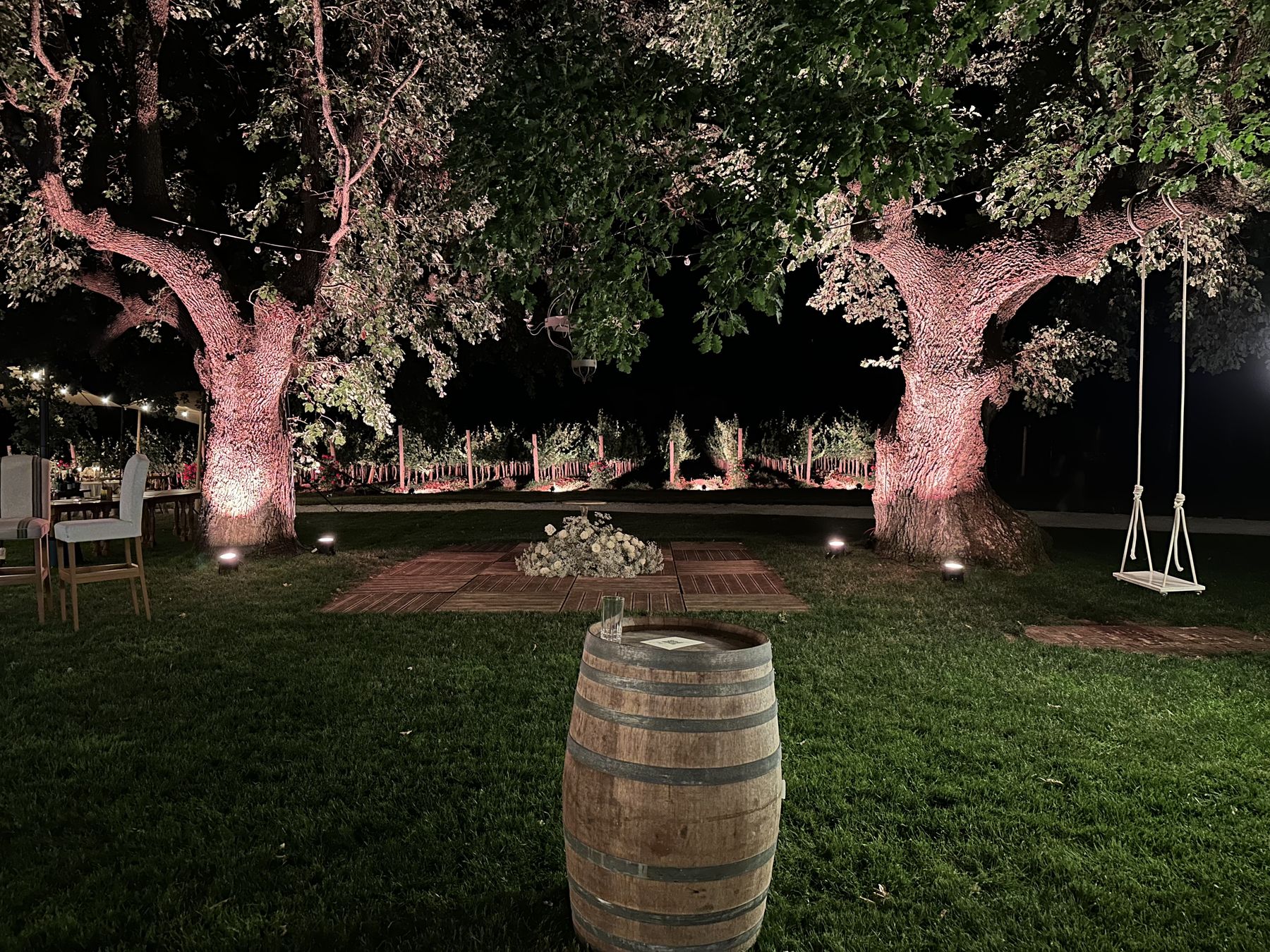 Welcome setup u istarskoj vinariji – velika osvjetljena stabla, bačva s vinom, ljuljačka
